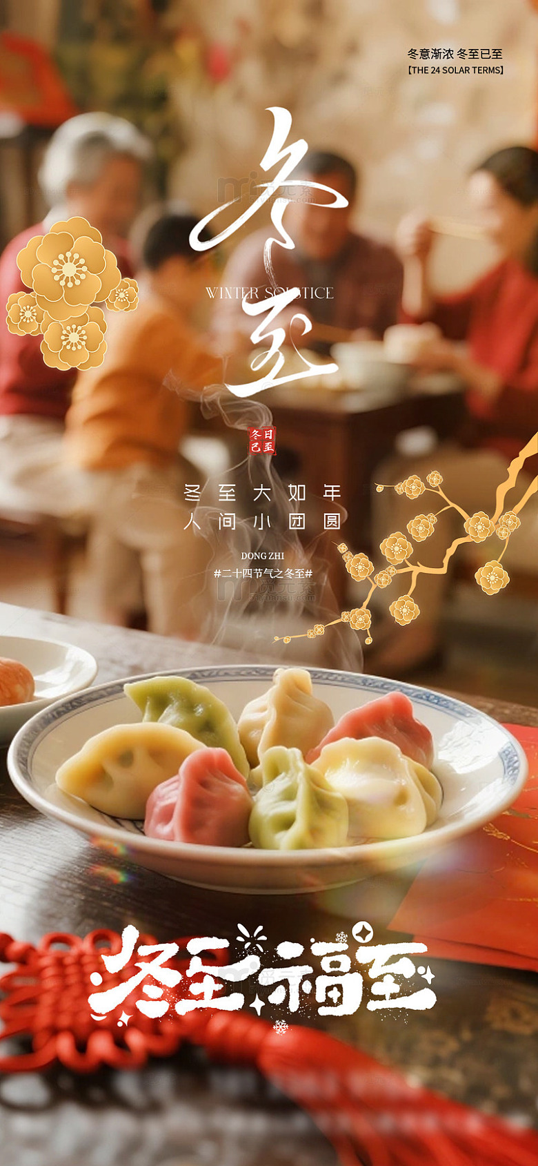 实景冬至节气饺子腊梅喜庆团圆海报
