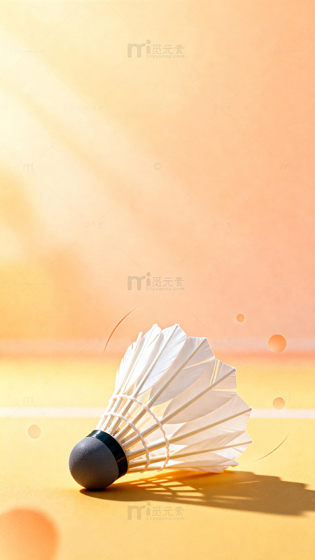 阳光下的羽毛球艺术照