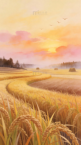 田园风光日落稻田油画