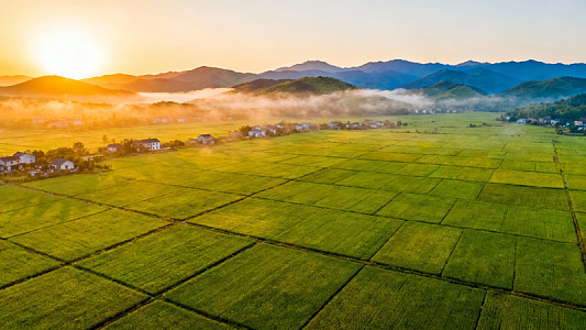 日出时分的田园风光图片