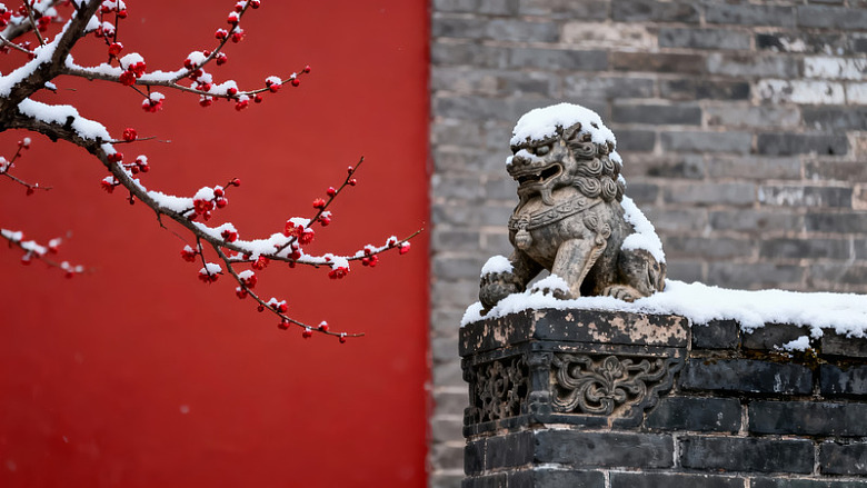 雪覆石狮红墙旁图片