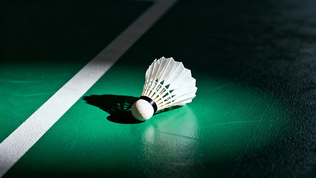 羽毛球静置于绿色场地