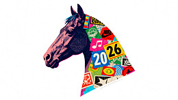 马头图案融合多彩贴纸设计