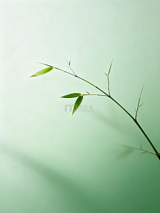 淡雅竹枝水墨风格背景