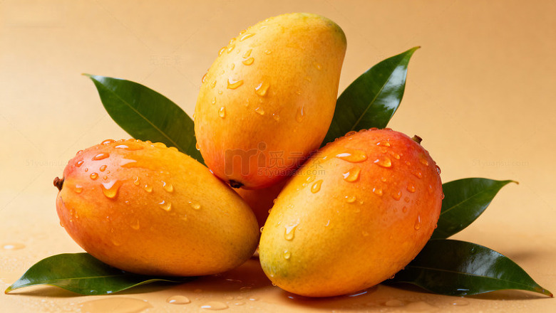 新鲜芒果与绿叶特写091