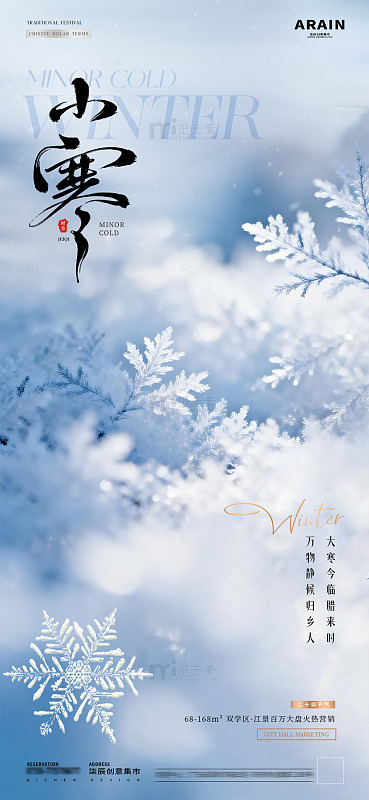 地产小寒大寒冬天雪花雪地海报1