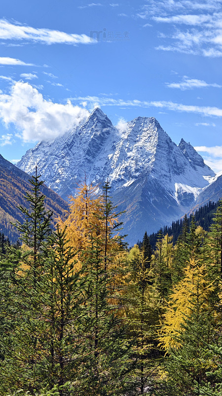 雪山秋色风光摄影自然景观