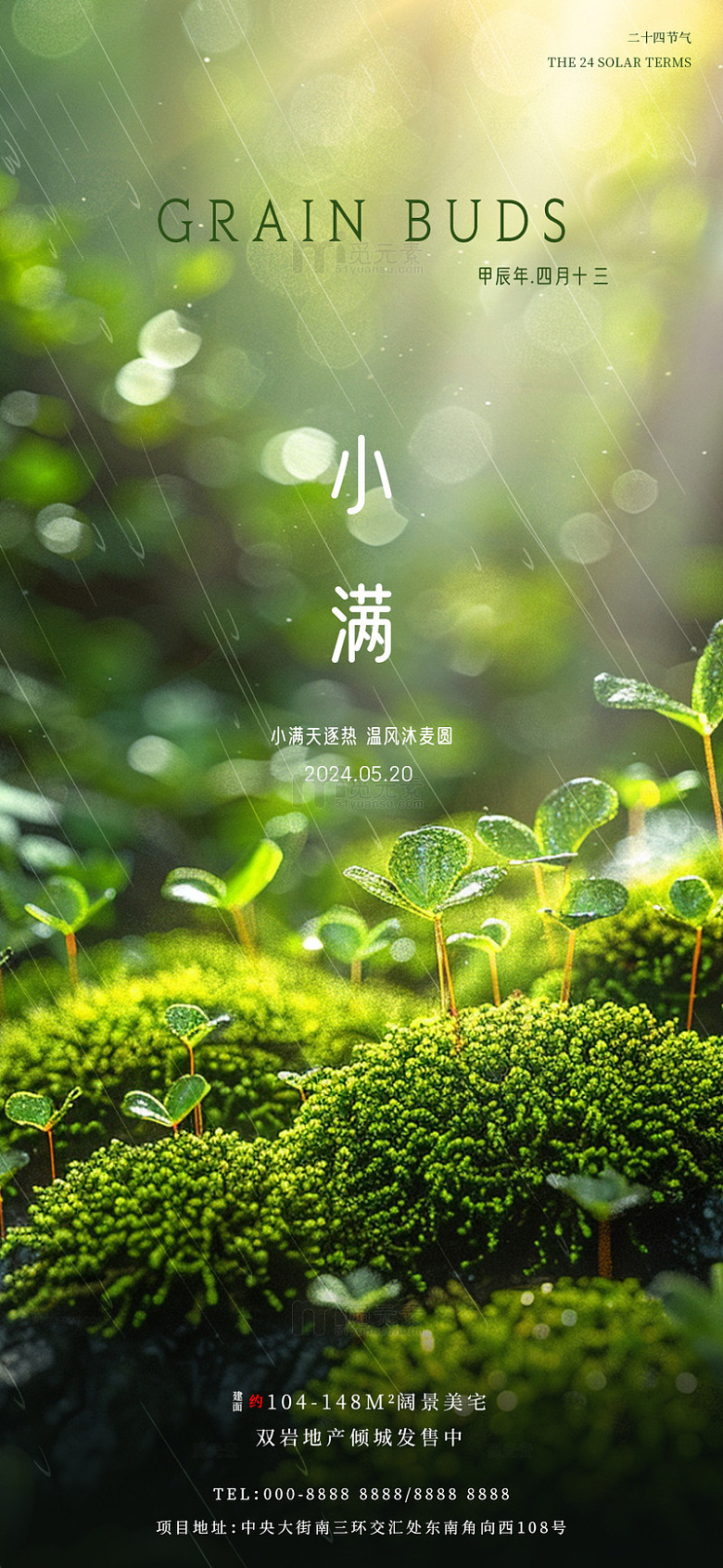 绿意盎然小满海报