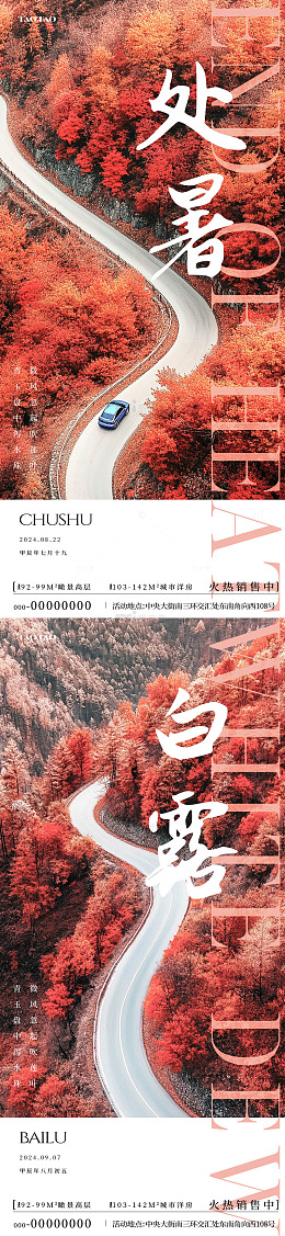 秋枫白露海报