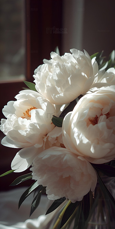 治愈系牡丹花鲜花壁纸ins风5