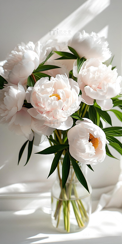 治愈系牡丹花鲜花壁纸ins风2