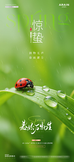 地产雨水惊蛰瓢虫绿叶海报1