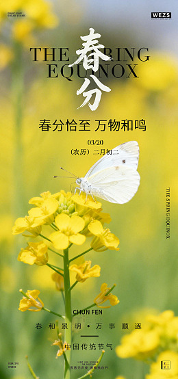 春分节气油菜花海报设计素材