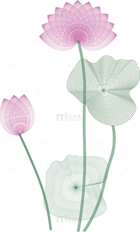 中国风粉色线条夏日荷花图矢量图