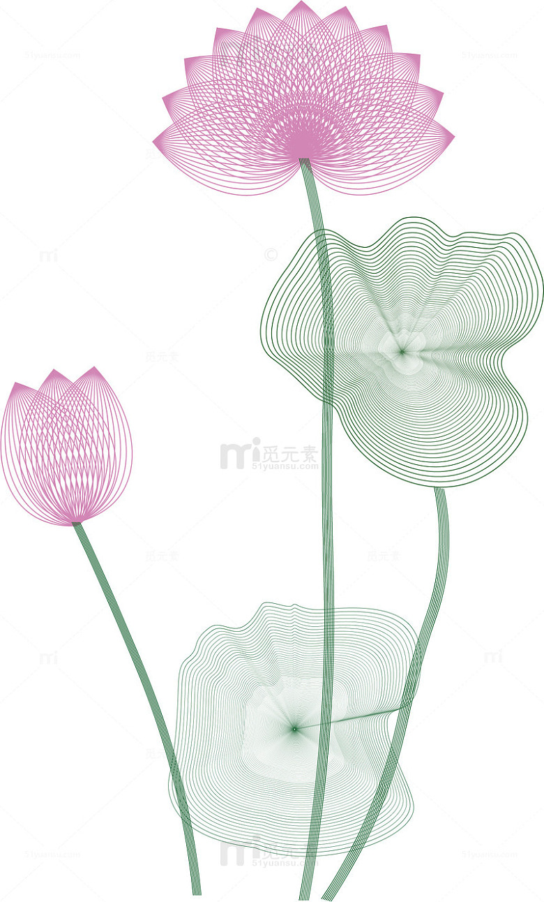 中国风粉色线条夏日荷花图矢量图