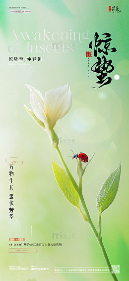 地产惊蛰春分植物花卉海报1