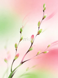 春天桃花节气干净小清新通透感文艺简约背景