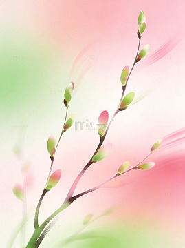 春天桃花节气干净小清新通透感文艺简约背景