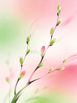 春天桃花节气干净小清新通透感文艺简约背景