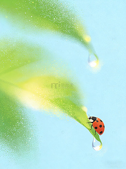 传统节气春分惊蛰昆虫雨水春分小清新背景图