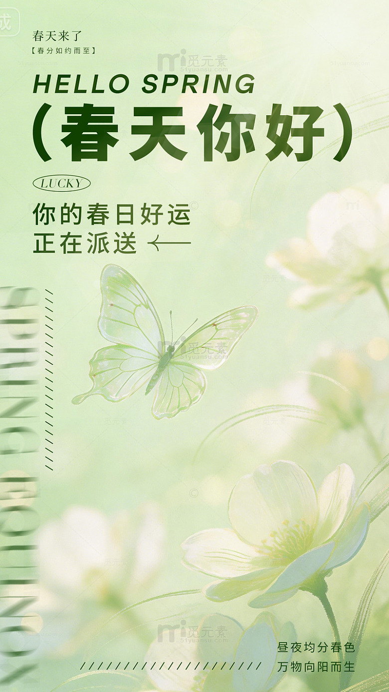 春日好运花卉蝴蝶海报设计