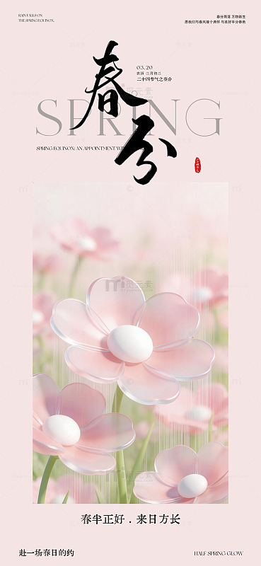 春分春日花卉插画海报设计素材