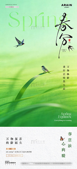 地产春分春天飞燕意境海报2
