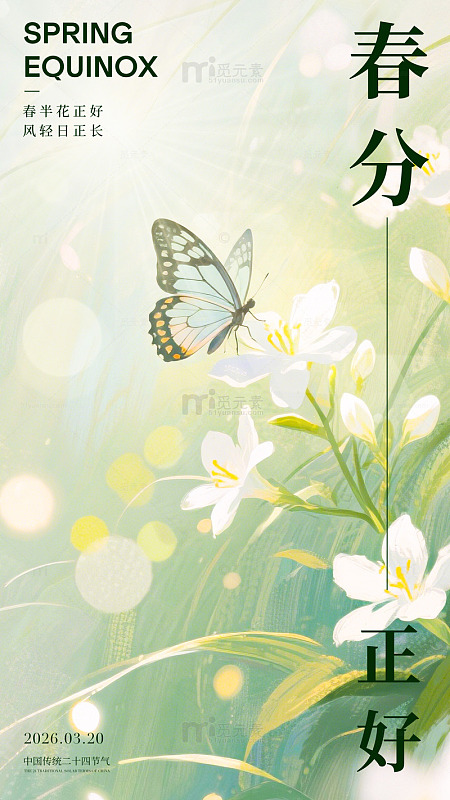 春分花开蝶舞设计海报