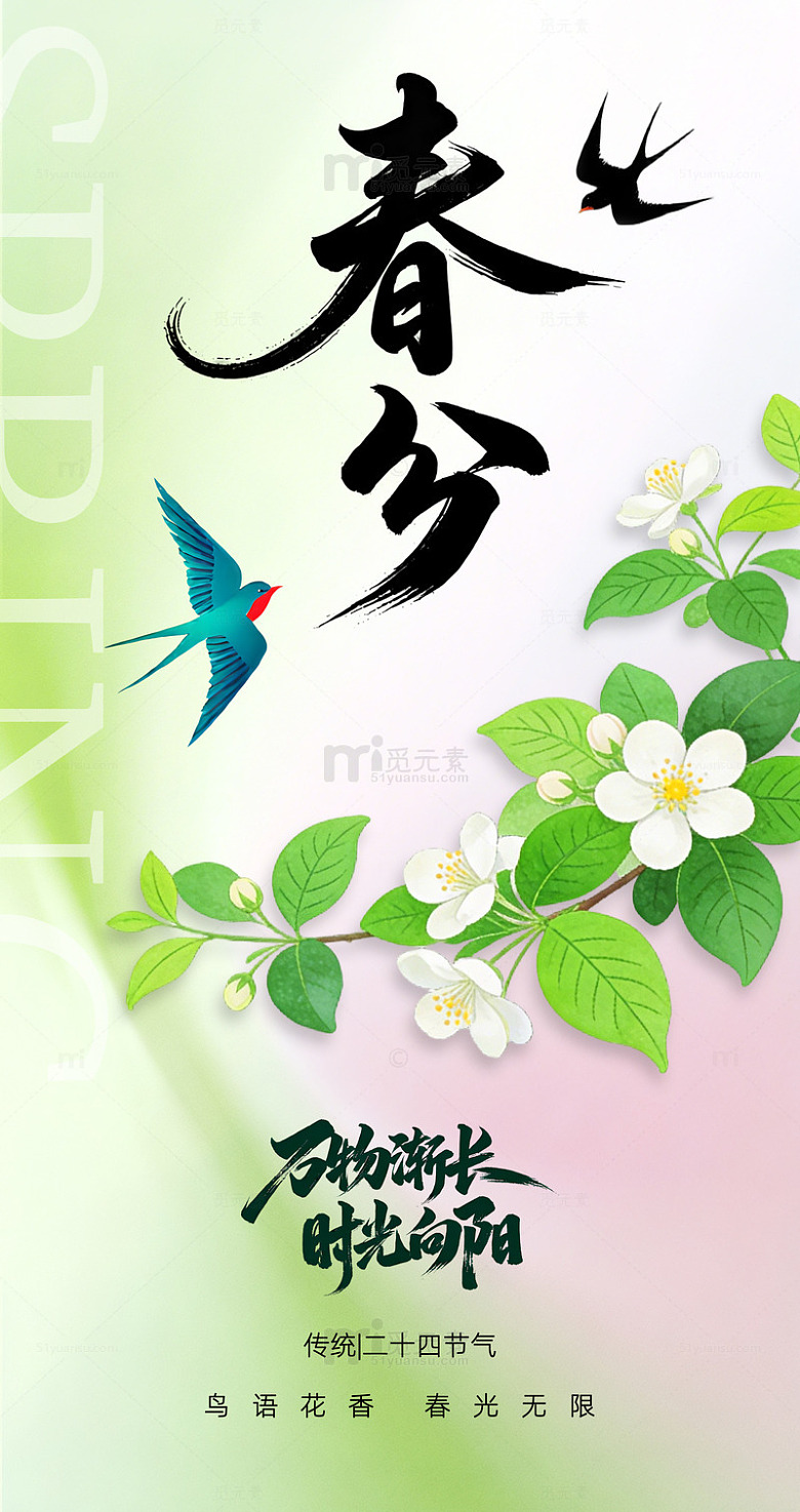 传统节气海报春分春日花鸟插画设计素材