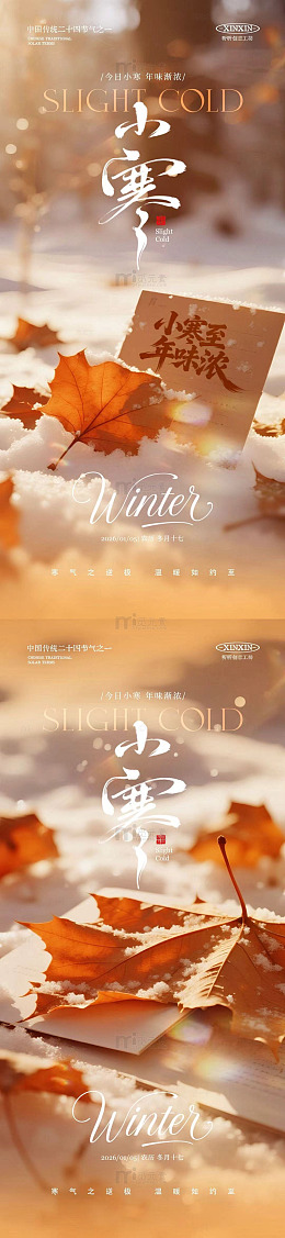 小寒小雪节气秋日落叶宣传海报