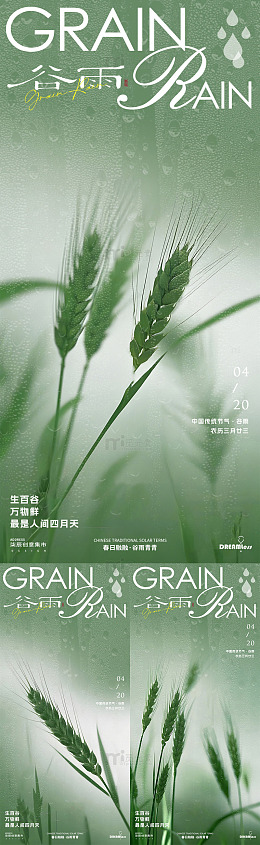 谷雨时节麦穗清新海报设计