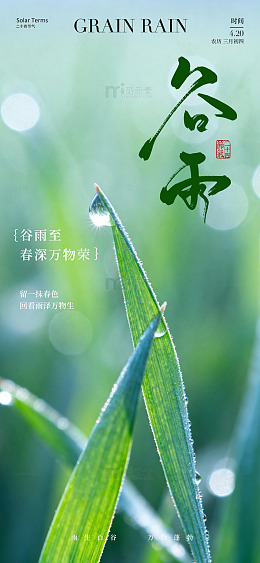 谷雨时节春意浓植物特写