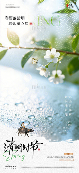 地产谷雨清明节蝴蝶花卉海报2