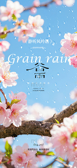 谷雨樱花美景宣传海报
