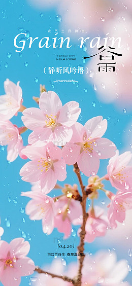 樱花雨节气壁纸