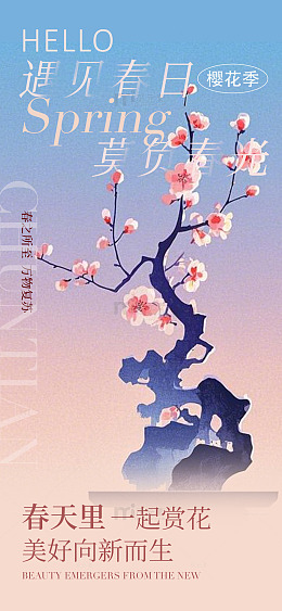 春日樱花赏美景