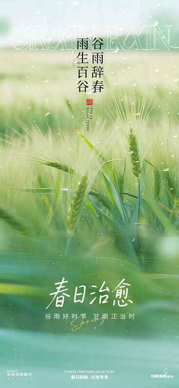 春日谷雨麦苗风景图片