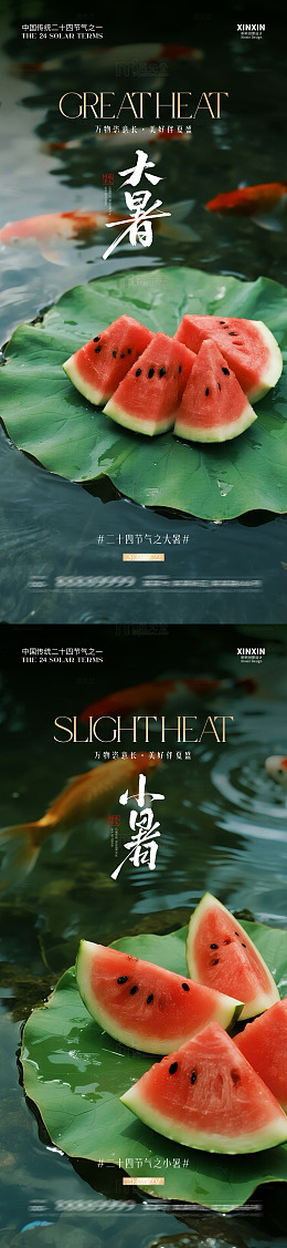 小暑大暑夏日荷塘西瓜景