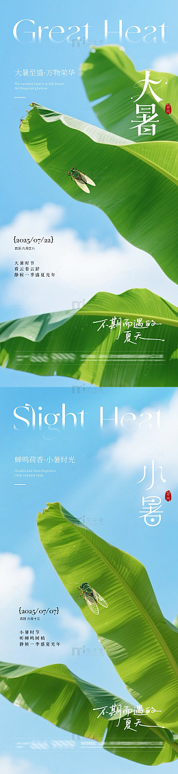绿色大暑小暑夏日节气海报设计素材