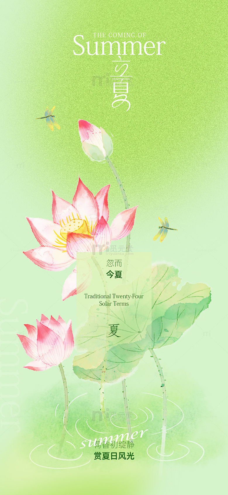 夏日荷花水墨画壁纸