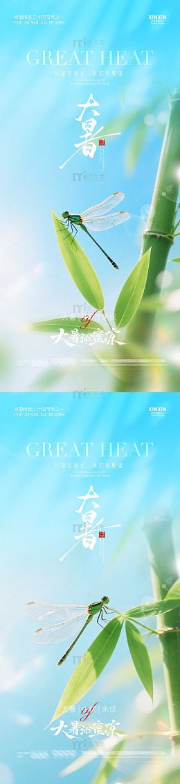 大暑竹林蜻蜓风景图