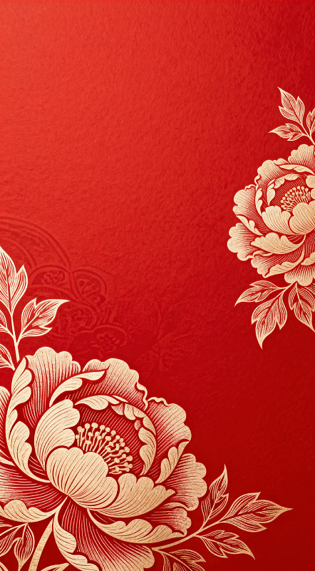 传统红色牡丹花纹布料图案