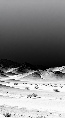 沙漠沙丘黑白