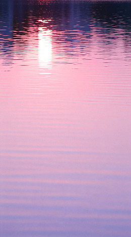 粉紫色水面日落风光
