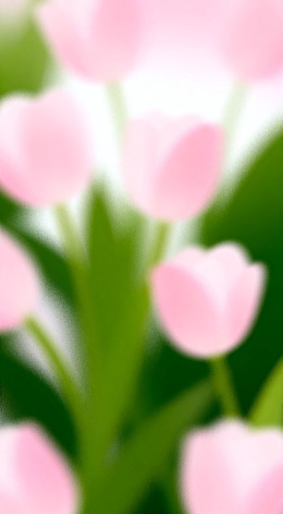 梦幻郁金香模糊艺术