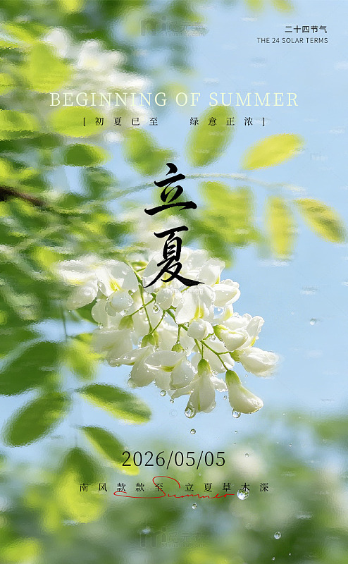 立夏夏天槐花清新海报