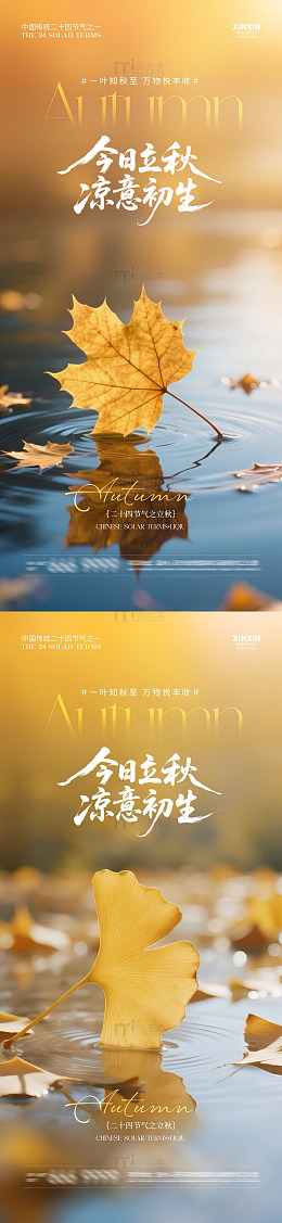 秋意浓落叶水景海报
