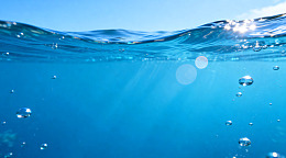 海洋风光水下片