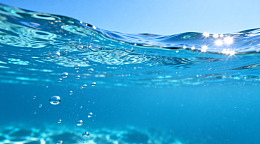 海洋风光水下图景