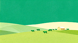 田园风光牛群插画